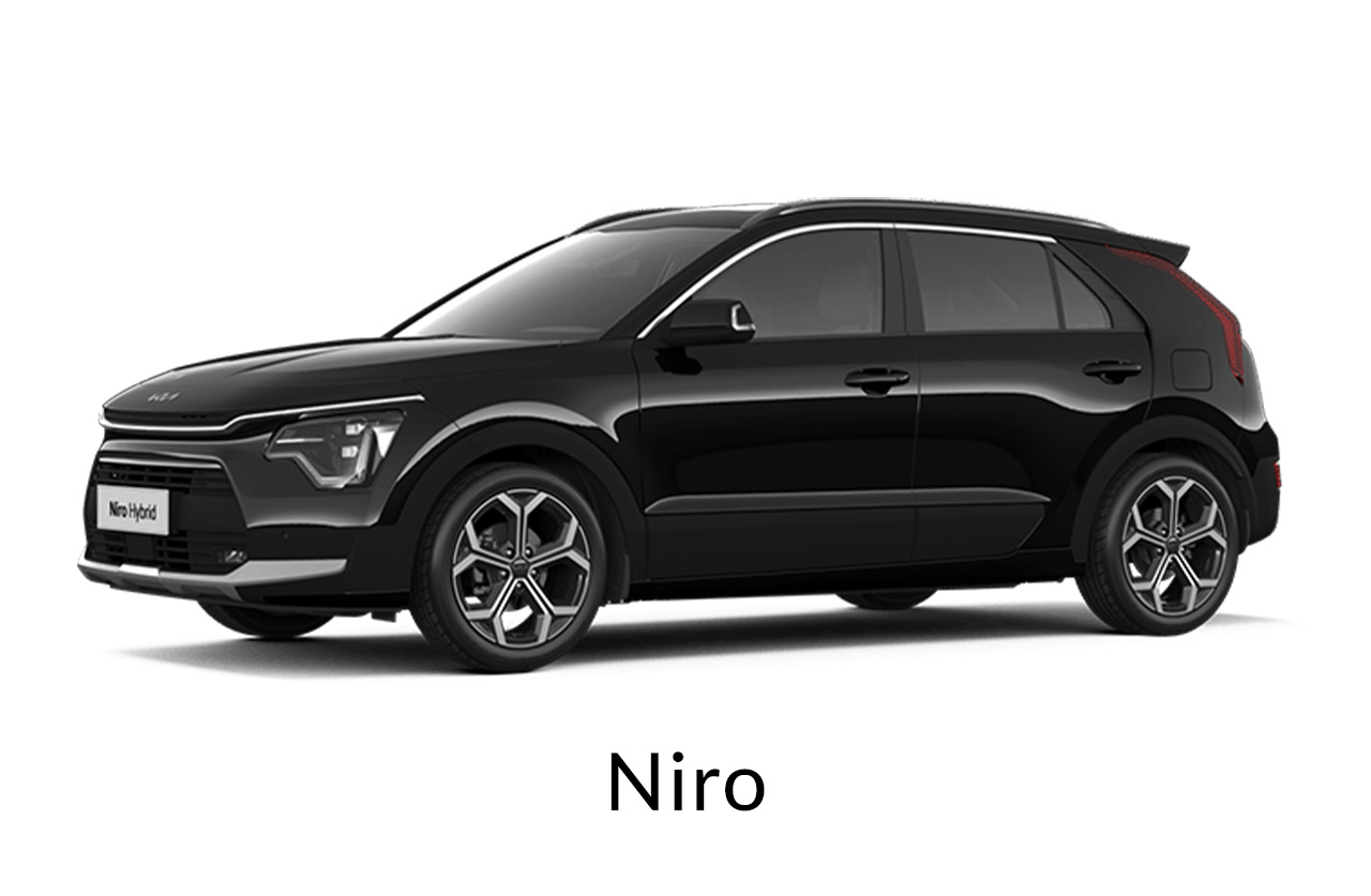 modelo-niro